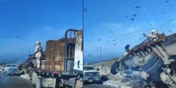 VIDEO: Vuelca camión con abejas en carretera Doctor Arroyo a Linares, Nuevo León