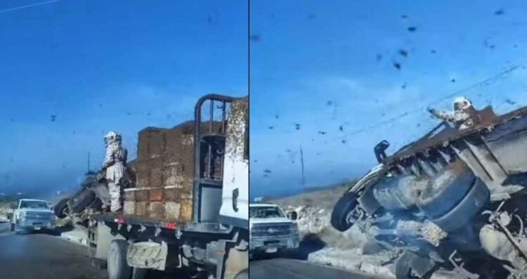 VIDEO: Vuelca camión con abejas en carretera Doctor Arroyo a Linares, Nuevo León