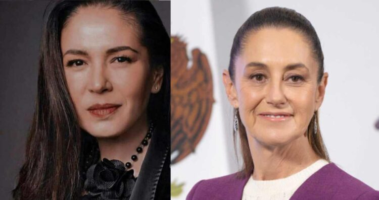 Yolanda Andrade lanza llamado a Claudia Sheinbaum y pide justicia por el caso Las Quintas