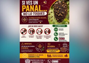 panales de abejas Nuevo Laredo