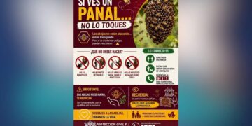 panales de abejas Nuevo Laredo
