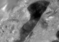 asteroide Ryugu