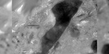 asteroide Ryugu