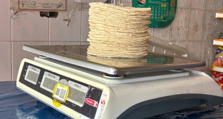 aumento al precio de la tortilla 2026