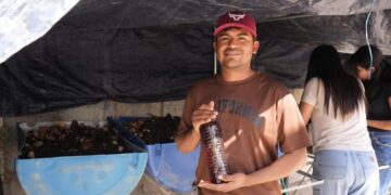 biofertilizantes líquidos UAT
