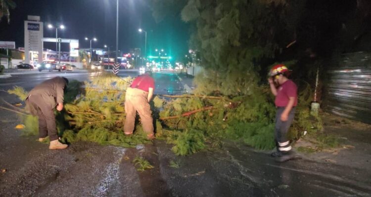 caída de árboles por lluvias en Victoria