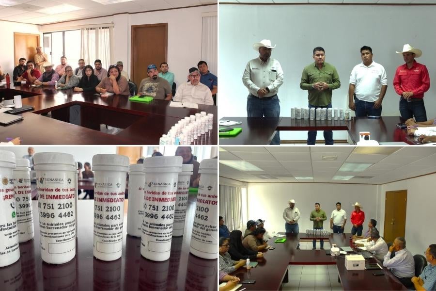 capacitación gusano barrenador Tamaulipas