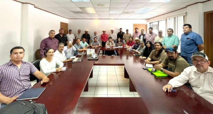 capacitación gusano barrenador Tamaulipas
