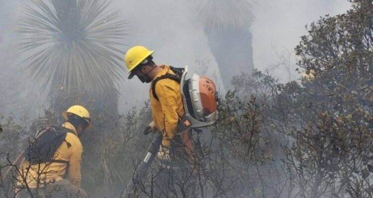 controlan tercer incendio Miquihuana