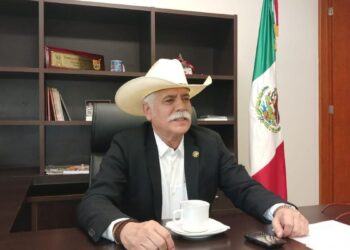 elección interna del PAN en Tamaulipas