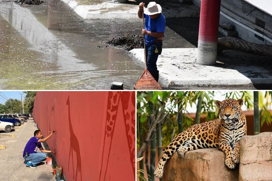 espacios Zoológico Tamatán