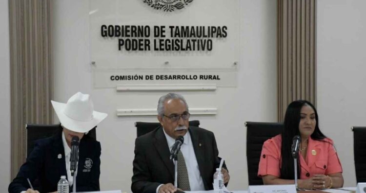 Antonio Varela Flores avances
