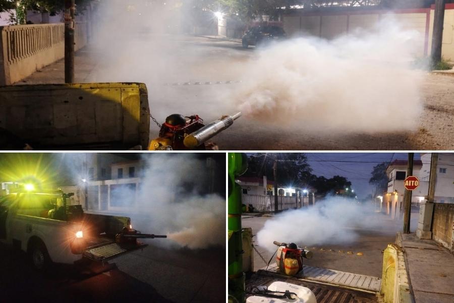 fumigación dengue Tampicofumigación dengue Tampicofumigación dengue Tampicofumigación dengue Tampicofumigación dengue Tampicofumigación dengue Tampicofumigación dengue Tampicofumigación dengue Tampicofumigación dengue Tampicofumigación dengue Tampicofumigación dengue Tampicofumigación dengue Tampicofumigación dengue Tampicofumigación dengue Tampico