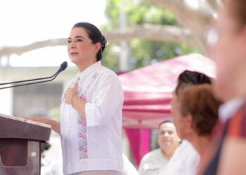 fumigación dengue Tampico