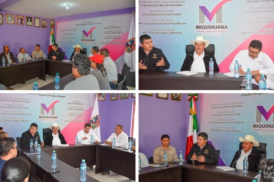 gusano barrenador en Miquihuana