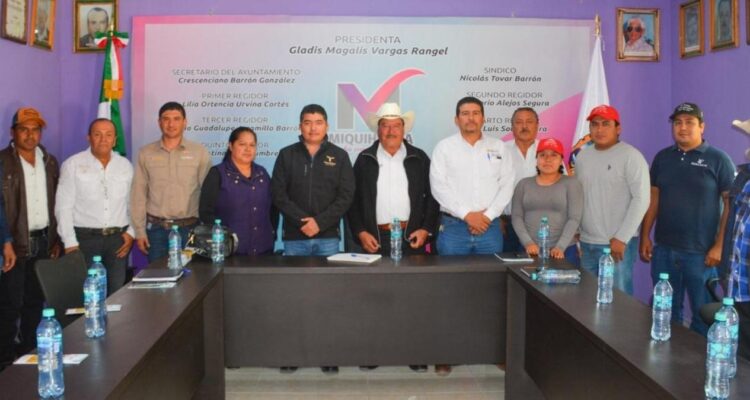 gusano barrenador en Miquihuana