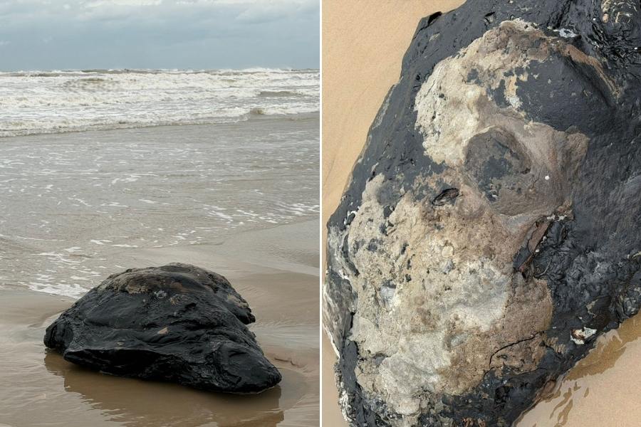 hidrocarburo en Playa Bagdad