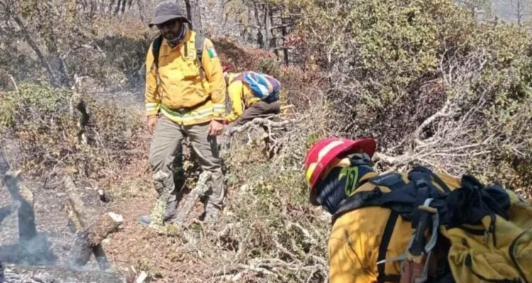 nuevo incendio forestal Jaumave