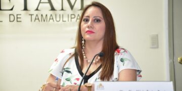Olga Alicia Castro INE