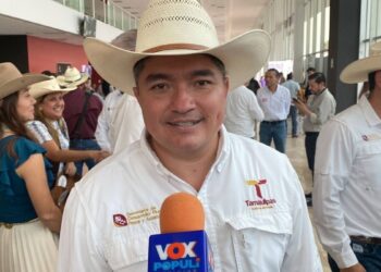 plaga de gusano barrenador ganado