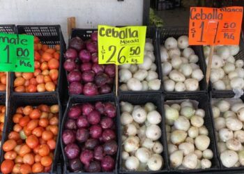 precio del chile y aguacate Ciudad Victoria