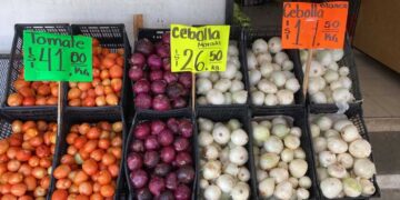 precio del chile y aguacate Ciudad Victoria