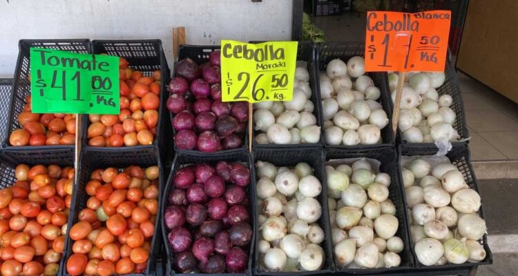 precio del chile y aguacate Ciudad Victoria