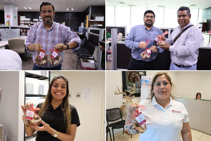 primera cosecha de ostión Tamaulipas