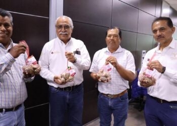 primera cosecha de ostión Tamaulipas