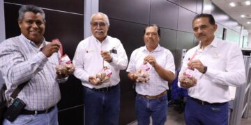 primera cosecha de ostión Tamaulipas