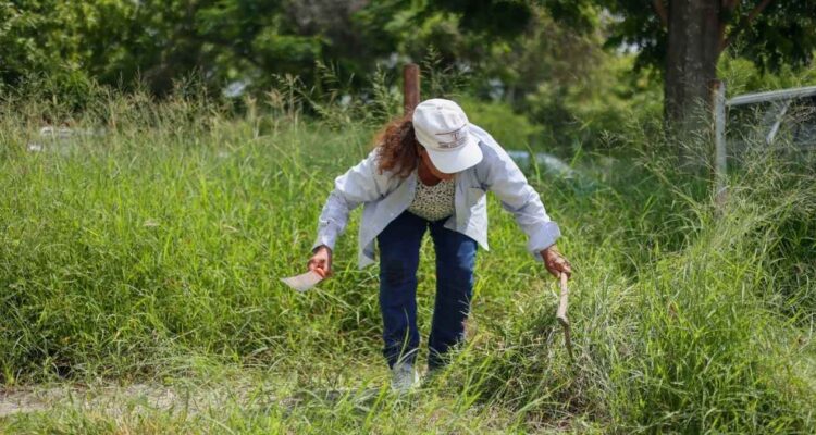 programa Impulsando tu Bienestar Tamaulipas
