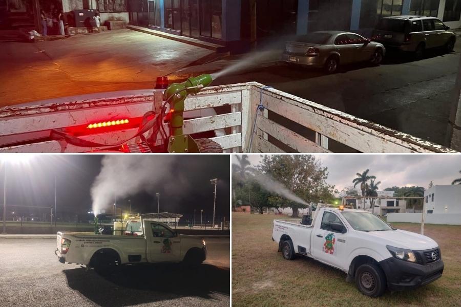 refuerzan fumigación en Tampico