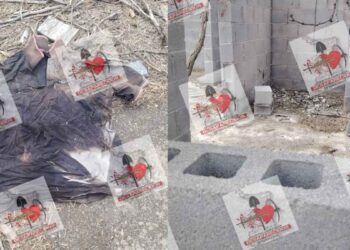 restos humanos en Miguel Alemán