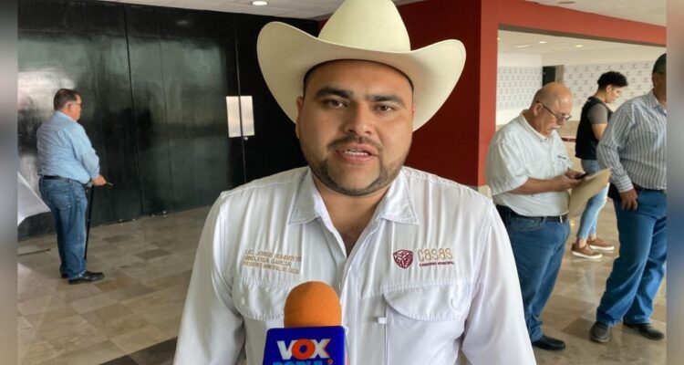 siembra de tilapia en Casas
