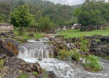 Tamaulipas en Lo Mejor de México 2026