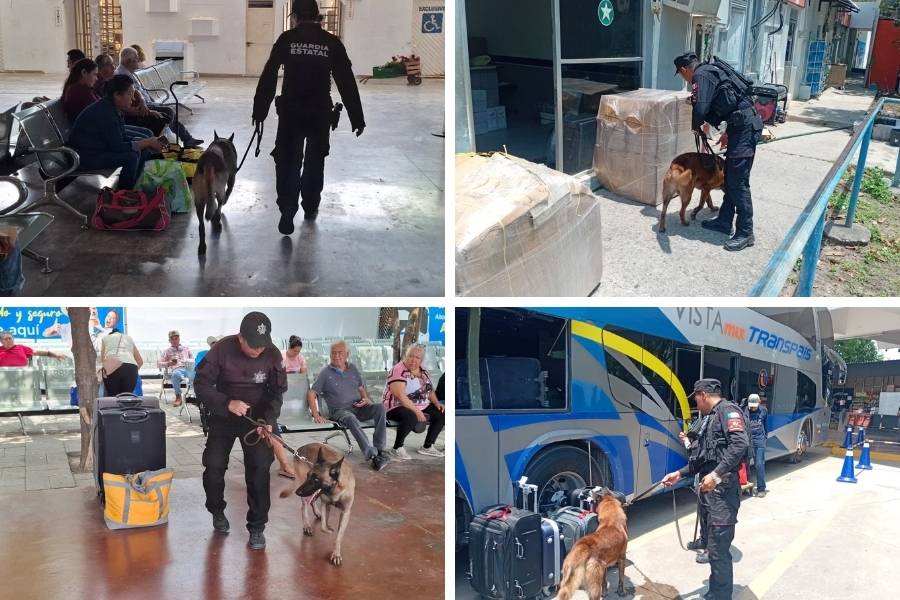 vigilancia Central de Autobuses Ciudad Victoria