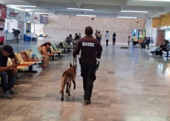 vigilancia Central de Autobuses Ciudad Victoria