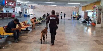 vigilancia Central de Autobuses Ciudad Victoria