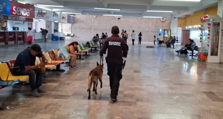 vigilancia Central de Autobuses Ciudad Victoria