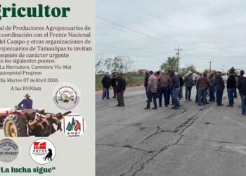 ¿Habrá bloqueo de carreteras hoy en Tamaulipas?