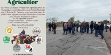 ¿Habrá bloqueo de carreteras hoy en Tamaulipas?