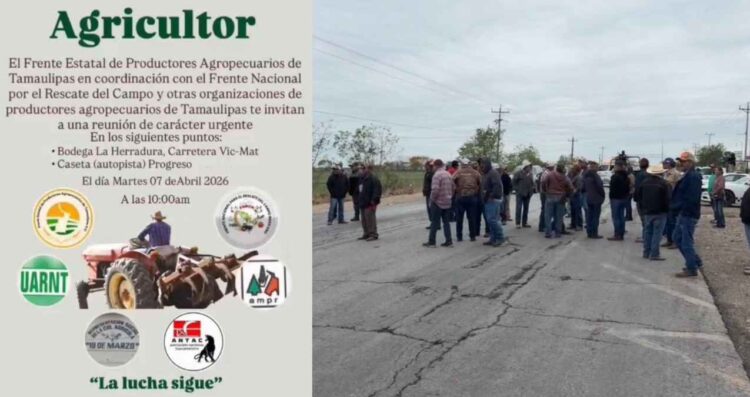 ¿Habrá bloqueo de carreteras hoy en Tamaulipas?