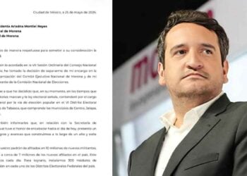 Andrés López Beltrán deja la Secretaría Organizacional de Morena