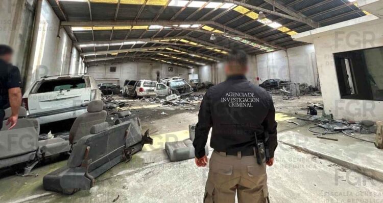 Aseguran 15 vehículos blindados y municiones tras cateo en Reynosa, Tamaulipas