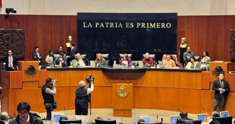 Congreso Poder Judicial nulidad electoral