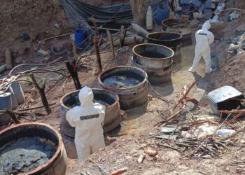 Desmantelan cinco laboratorios clandestinos en Jalisco, Nayarit y Sinaloa