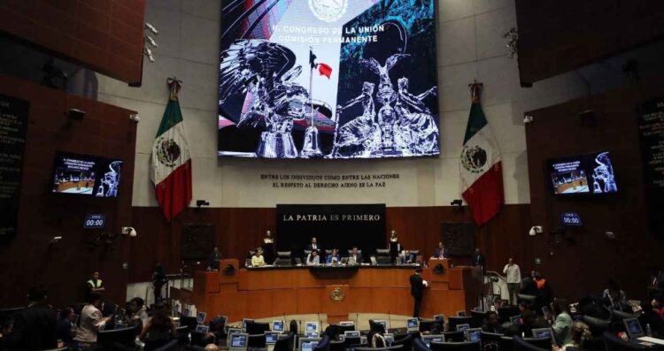 extraordinario elección judicial candidaturas