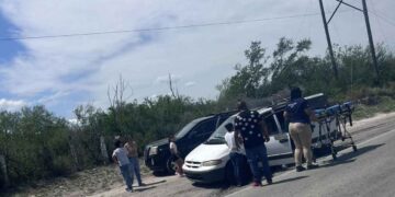 Enjambre sorprende a familia en Marín