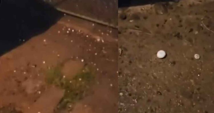 General Terán, Nuevo León, registra inusual caída de granizo | VIDEO