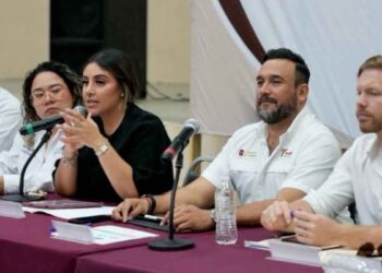 Comité Seguridad Vigilancia